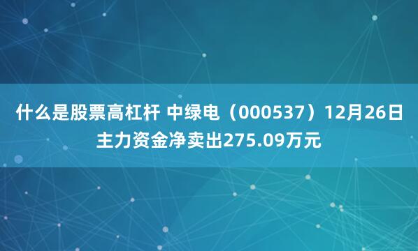 什么是股票高杠杆 中绿电（000537）12月26日主力资金净卖出275.09万元