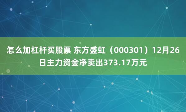 怎么加杠杆买股票 东方盛虹（000301）12月26日主力资金净卖出373.17万元