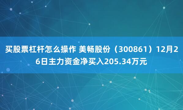 买股票杠杆怎么操作 美畅股份（300861）12月26日主力资金净买入205.34万元