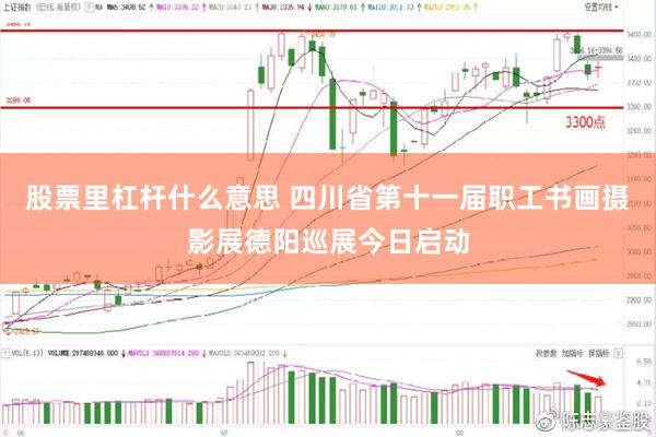 股票里杠杆什么意思 四川省第十一届职工书画摄影展德阳巡展今日启动