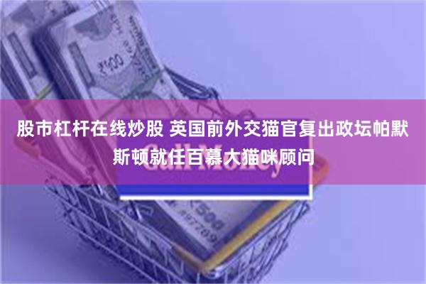 股市杠杆在线炒股 英国前外交猫官复出政坛帕默斯顿就任百慕大猫咪顾问