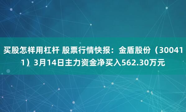 买股怎样用杠杆 股票行情快报：金盾股份（300411）3月14日主力资金净买入562.30万元